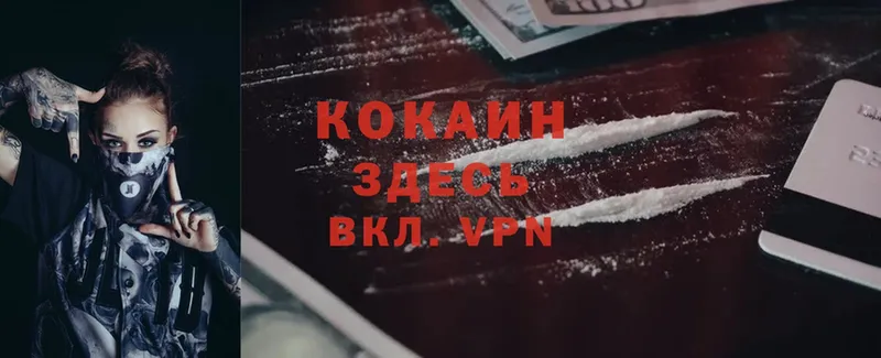 Cocaine Fish Scale  Вытегра 